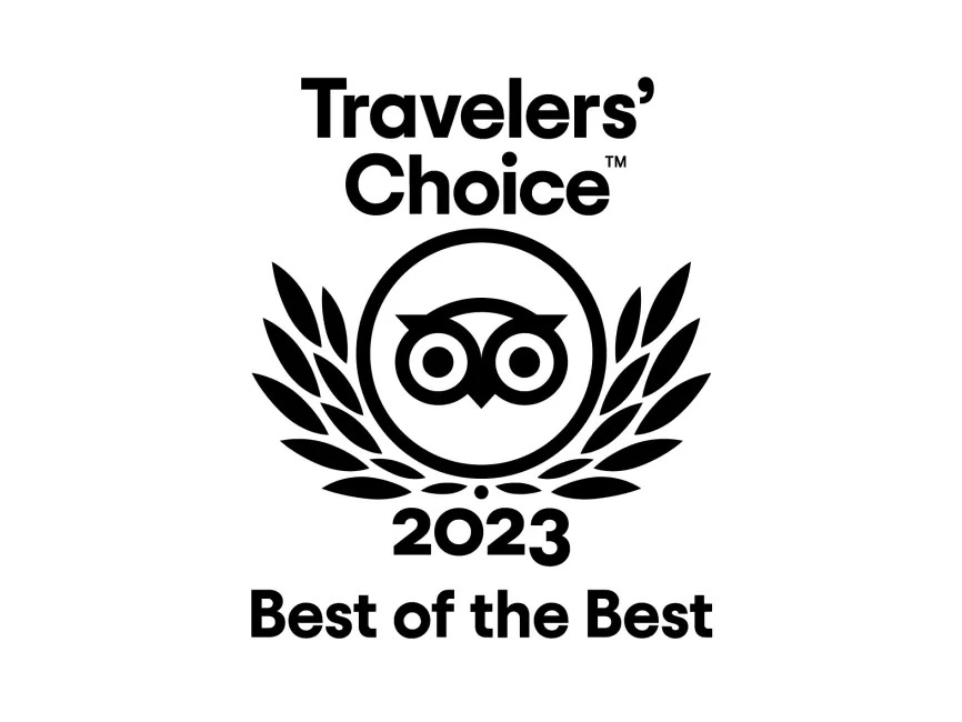 Excellence Award 2023