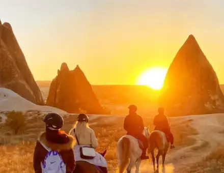 Horse Tours